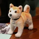 Standing Posture With Collar