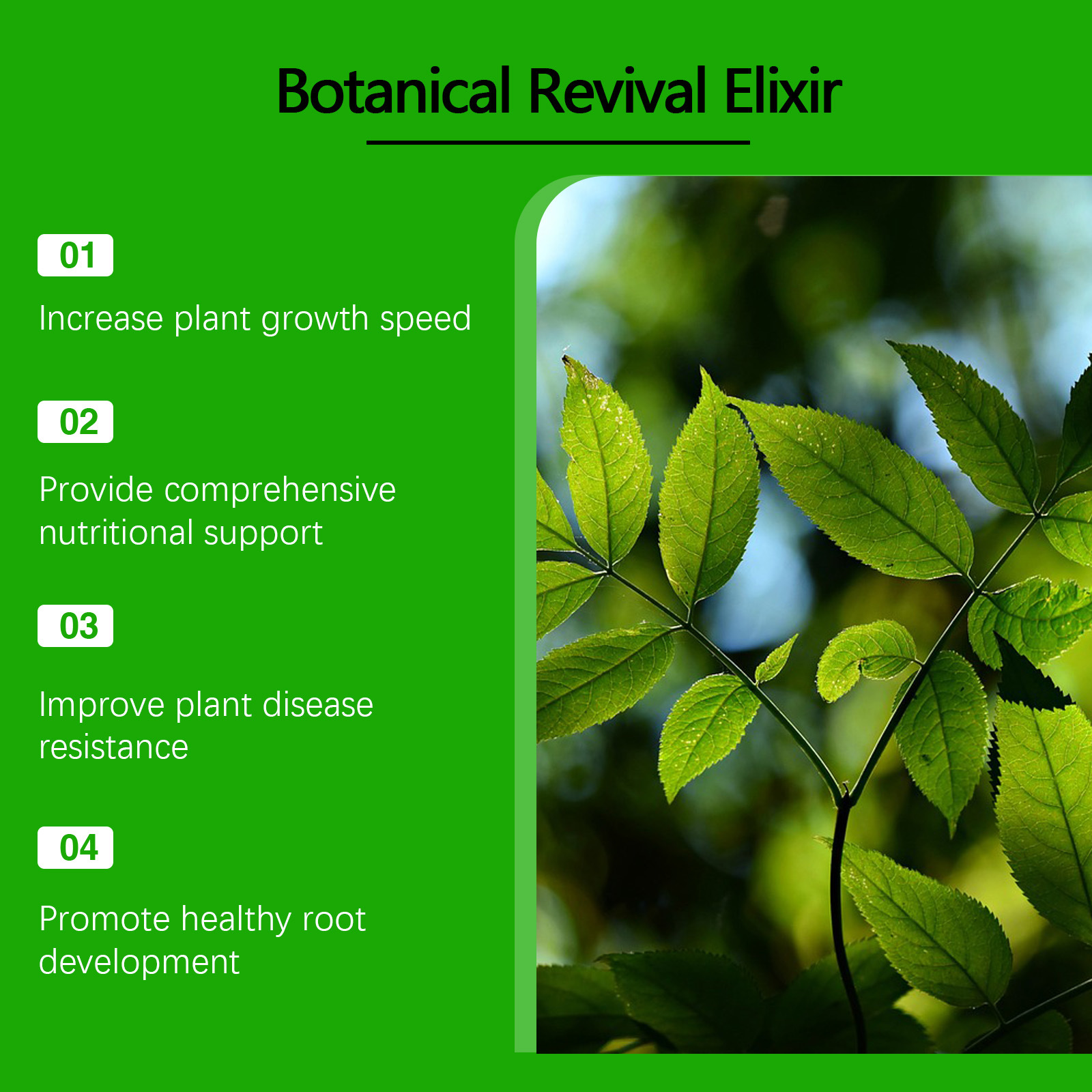 Title 6, Home Gardening Plant Growth Nutrient Solution