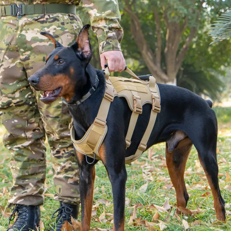 Dog Tactical Harness With Reflective Lightweight Leash