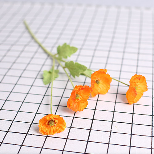 4 Flower Orange