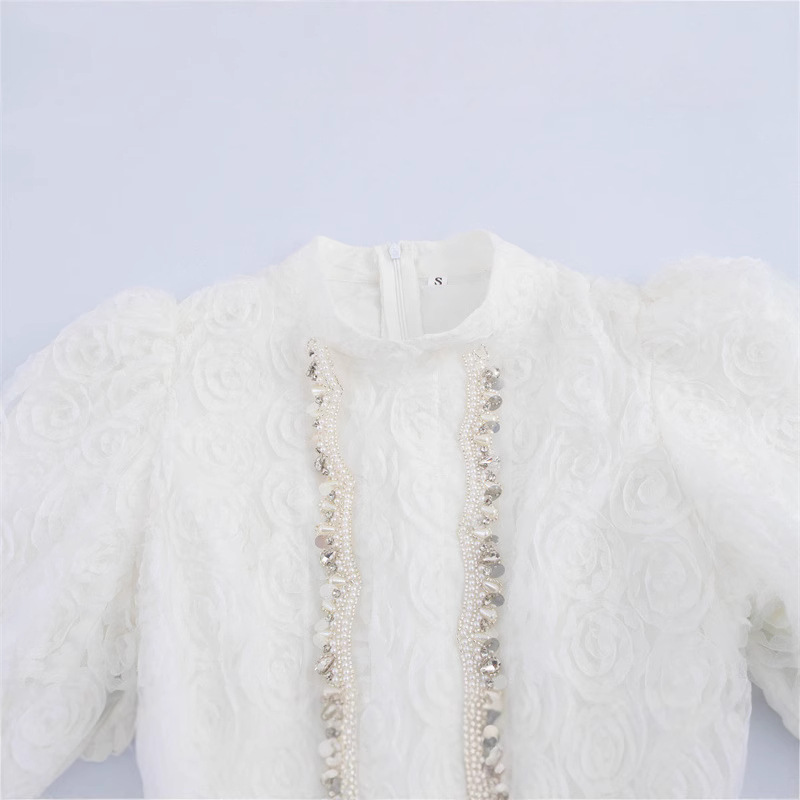 Elegant Bubble Sleeve A- Line Dress