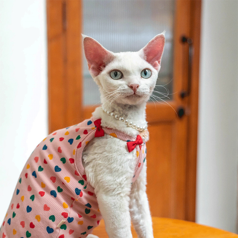 Camiseta sin mangas de verano para gatos Sphynx con estampado de corazones y detalles de lazos. Ropa elástica, cómoda y agradable al tacto para gatos sin pelo.