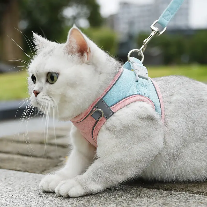 Fashion Small Dog Vest Hand Holding Rope