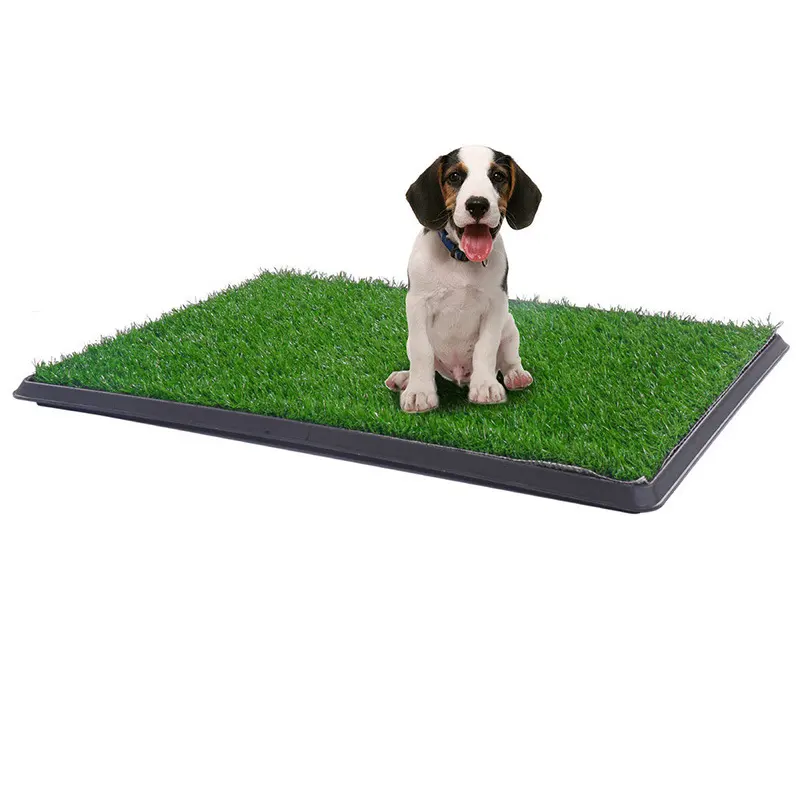 Particle Dog Toilet Emulational Lawn