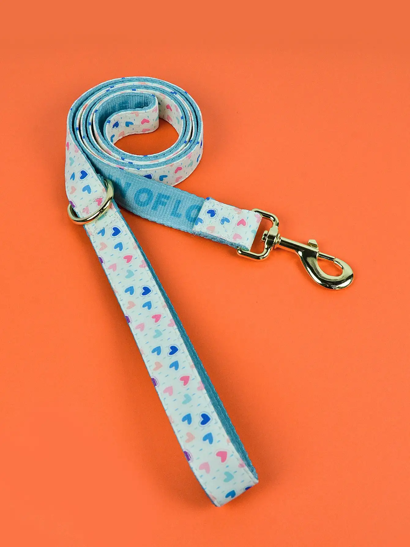 Valentine's Day Love Pet Hand Holding Rope