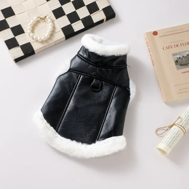 Autumn And Winter Pet Clothes Jacket Black Vest - Shop at LoveMi