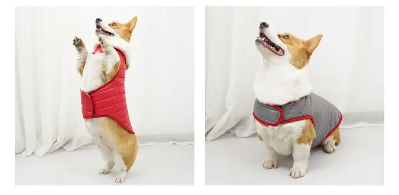 Winter Anti-lint Pet Winter Clothes Small And Medium Dogs