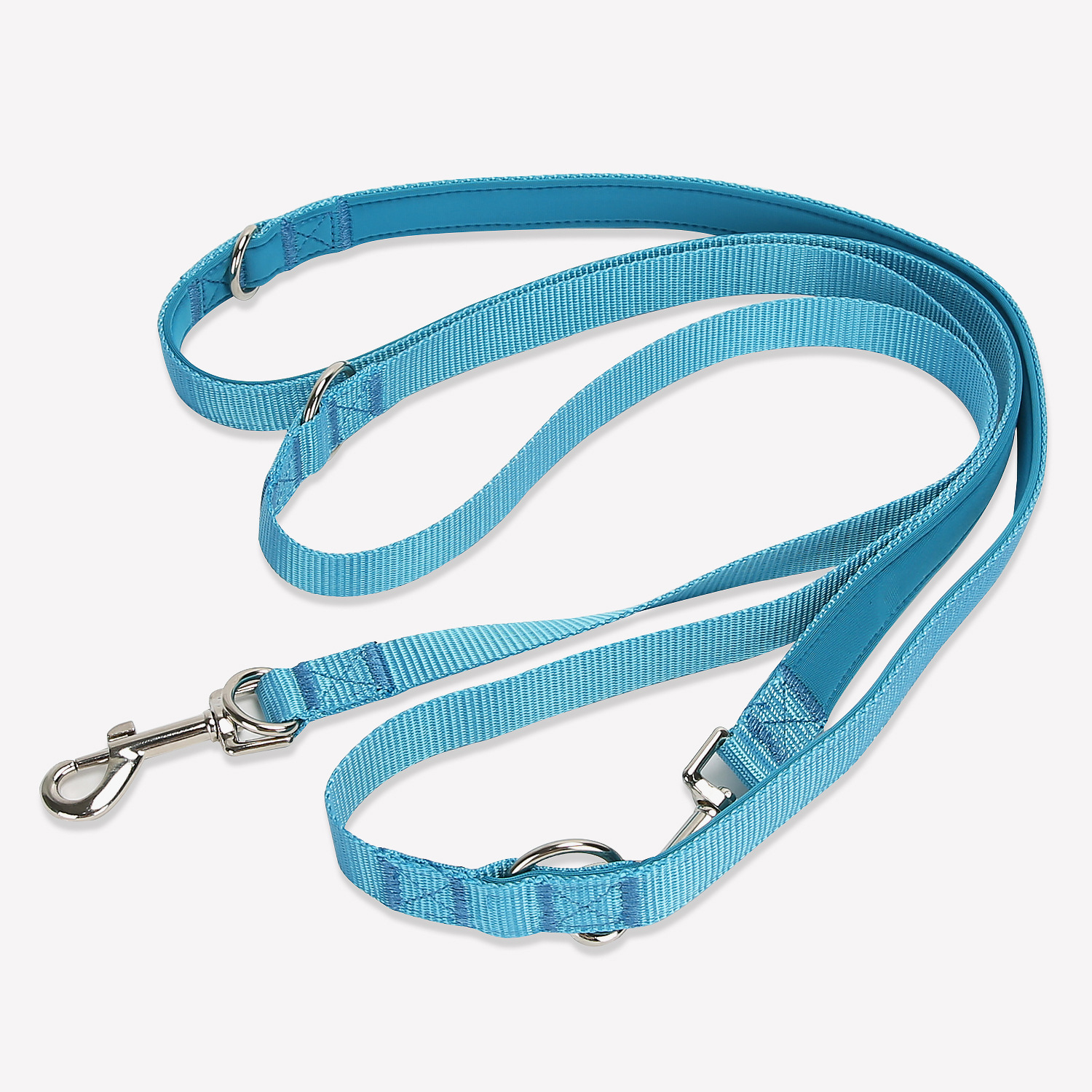 Laisse pour chien