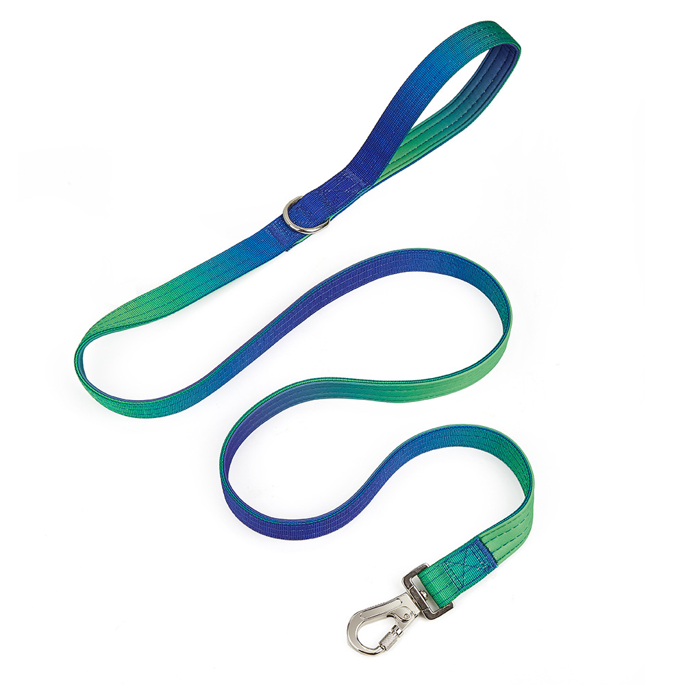 Green And Blue Gradient Rope