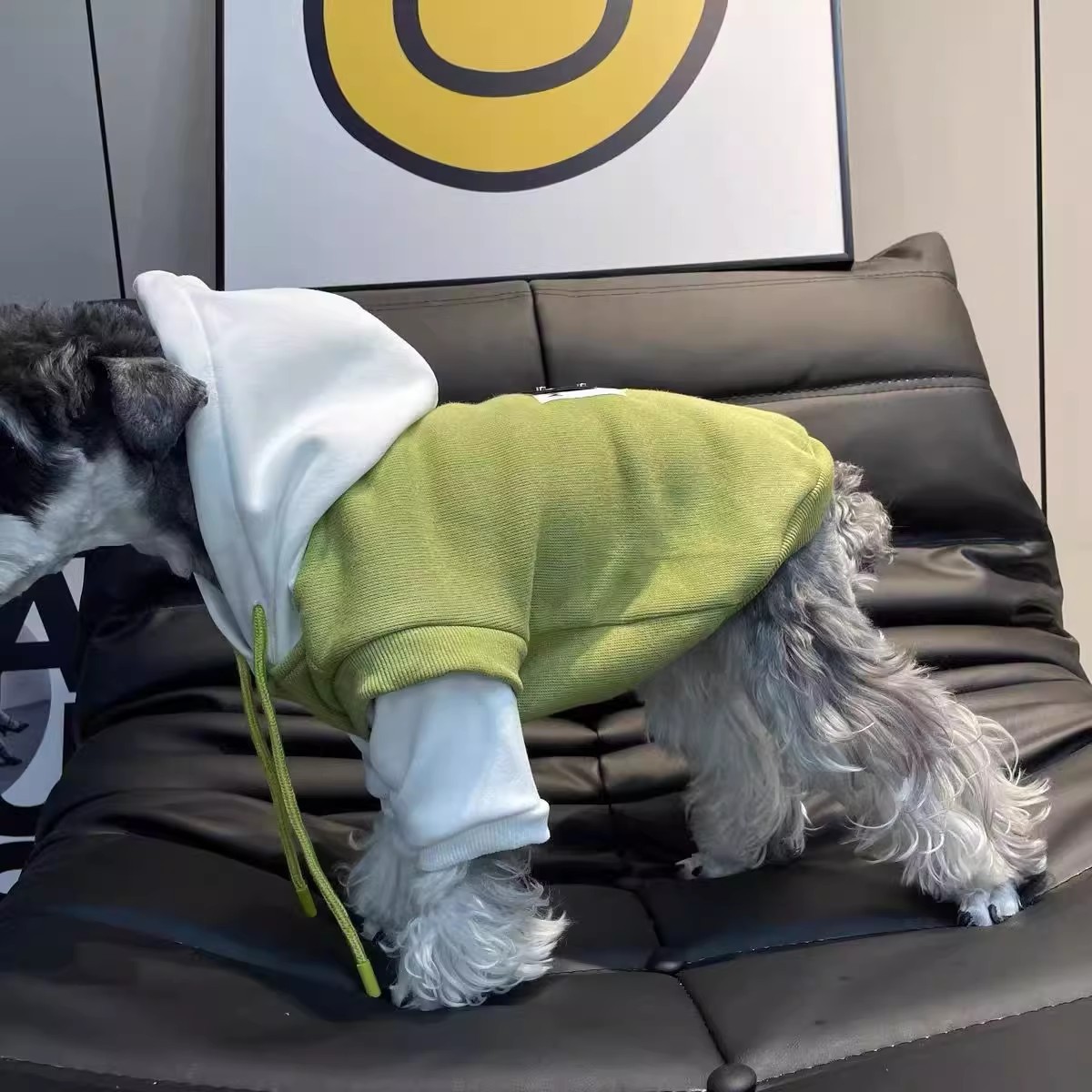 Fleece-lined Insulated Hooded Sweatshirt For Pets