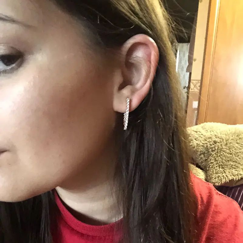 All-matching Exquisite Zircon Women's Earrings