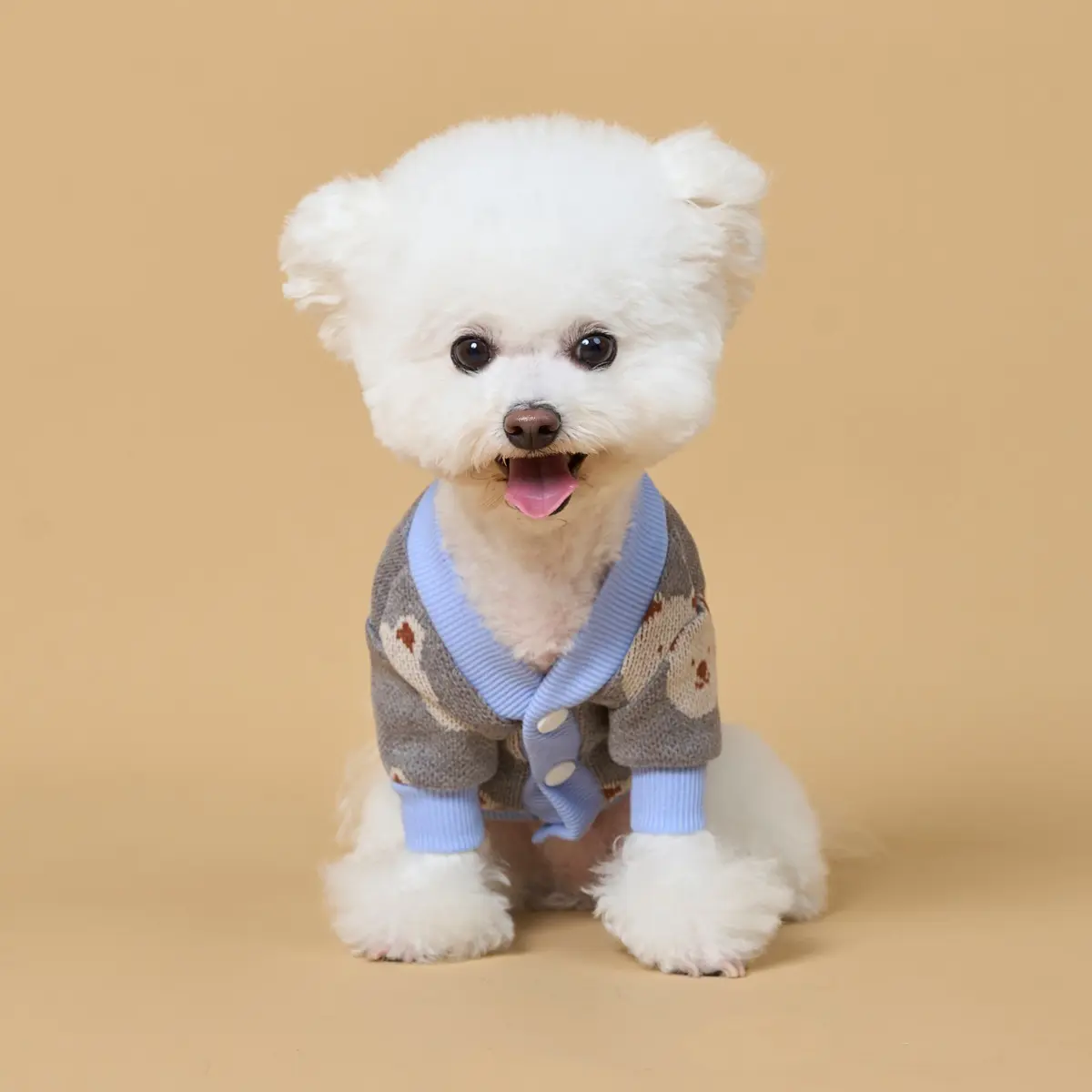 Casual-style Pet Sweater With A Little Bear