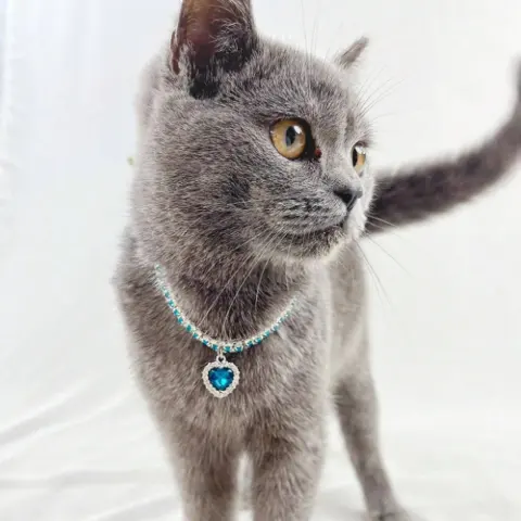 Love-shaped Pendant Rhinestone Pet Necklace