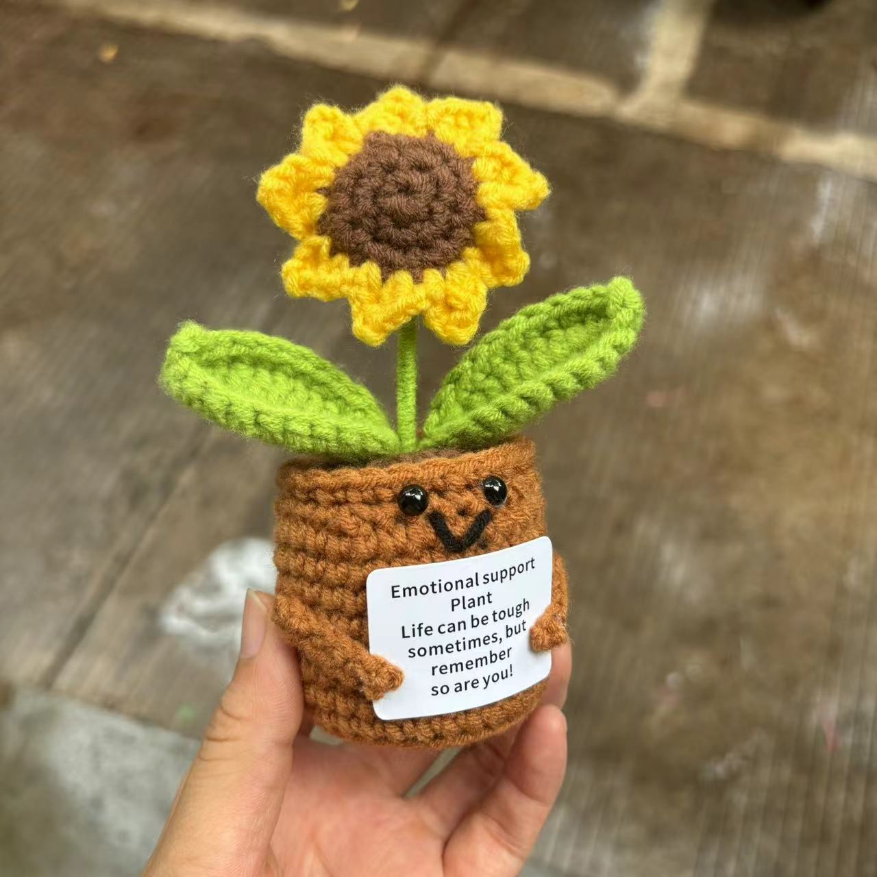 Small Sunflower Potted Plants