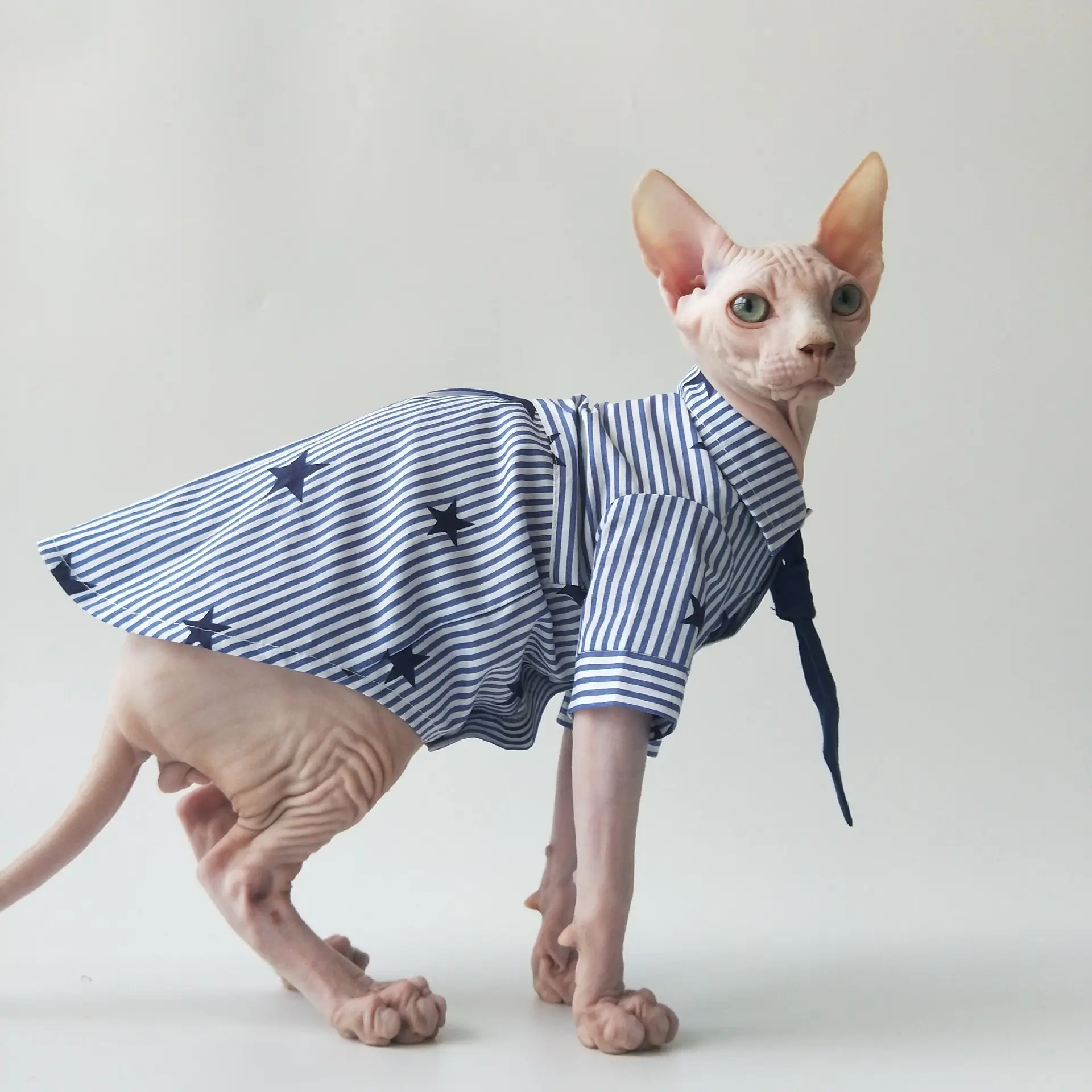 Sphynx Cat Cotton Shirt