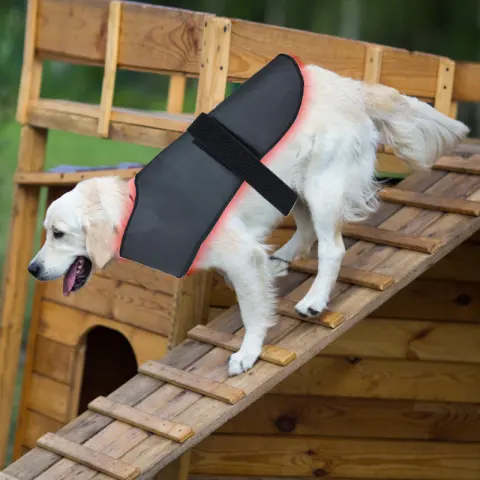 New L Size Pet Red Light Infrared Physiotherapy Instrument