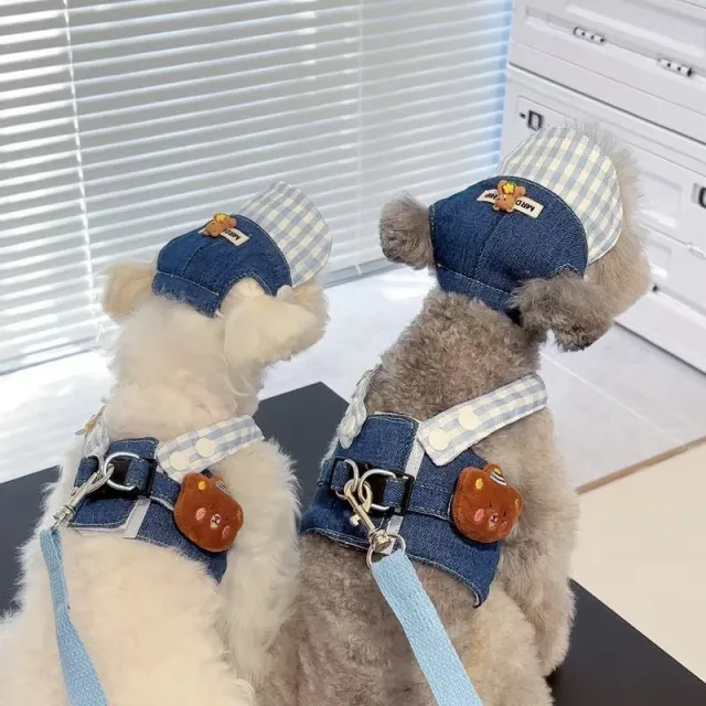 Spring And Autumn Pet's Chest back Hand Holding Rope Dog Cat Clothes Chest And Back Rope - Shop at LoveMi
