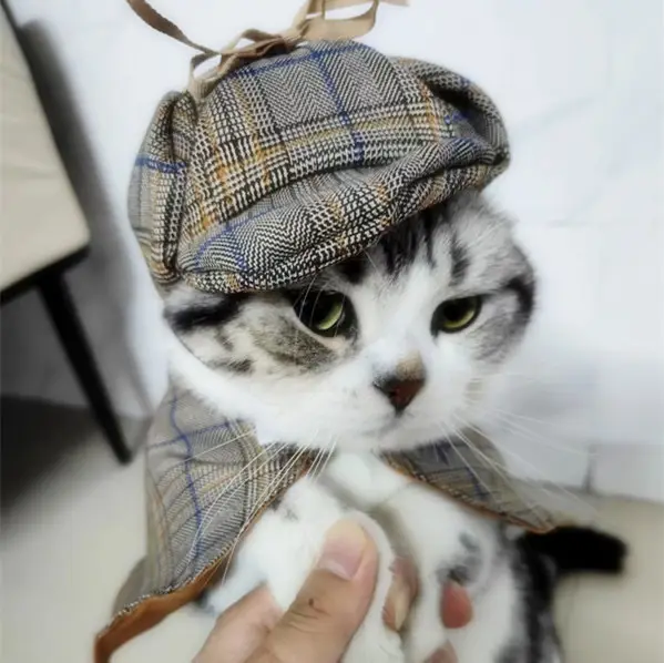 Sleeveless Clothing, Detective Hat And Cloak Set For Pets