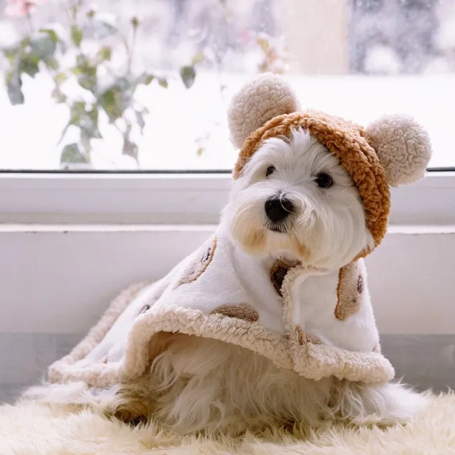 Dog Cloak Robe Warm Bear Cloak Brown - Shop at LoveMi