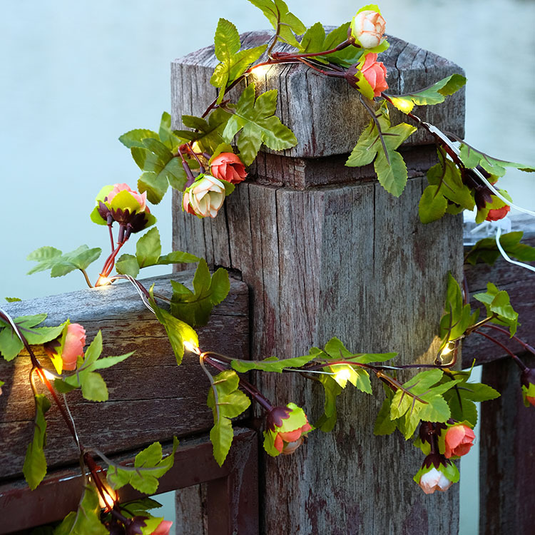 Sunset Red Rose Lantern