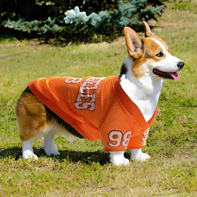 Pet Dog Sun Protection Outdoor Ball Uniform Orange - Shop at LoveMi