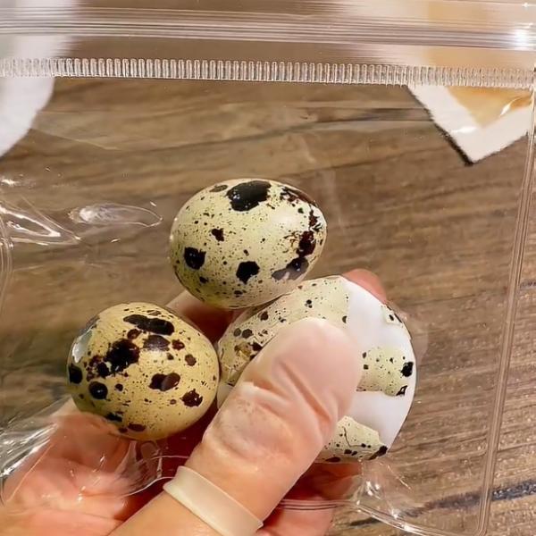 Quail Egg Squeezing Toy