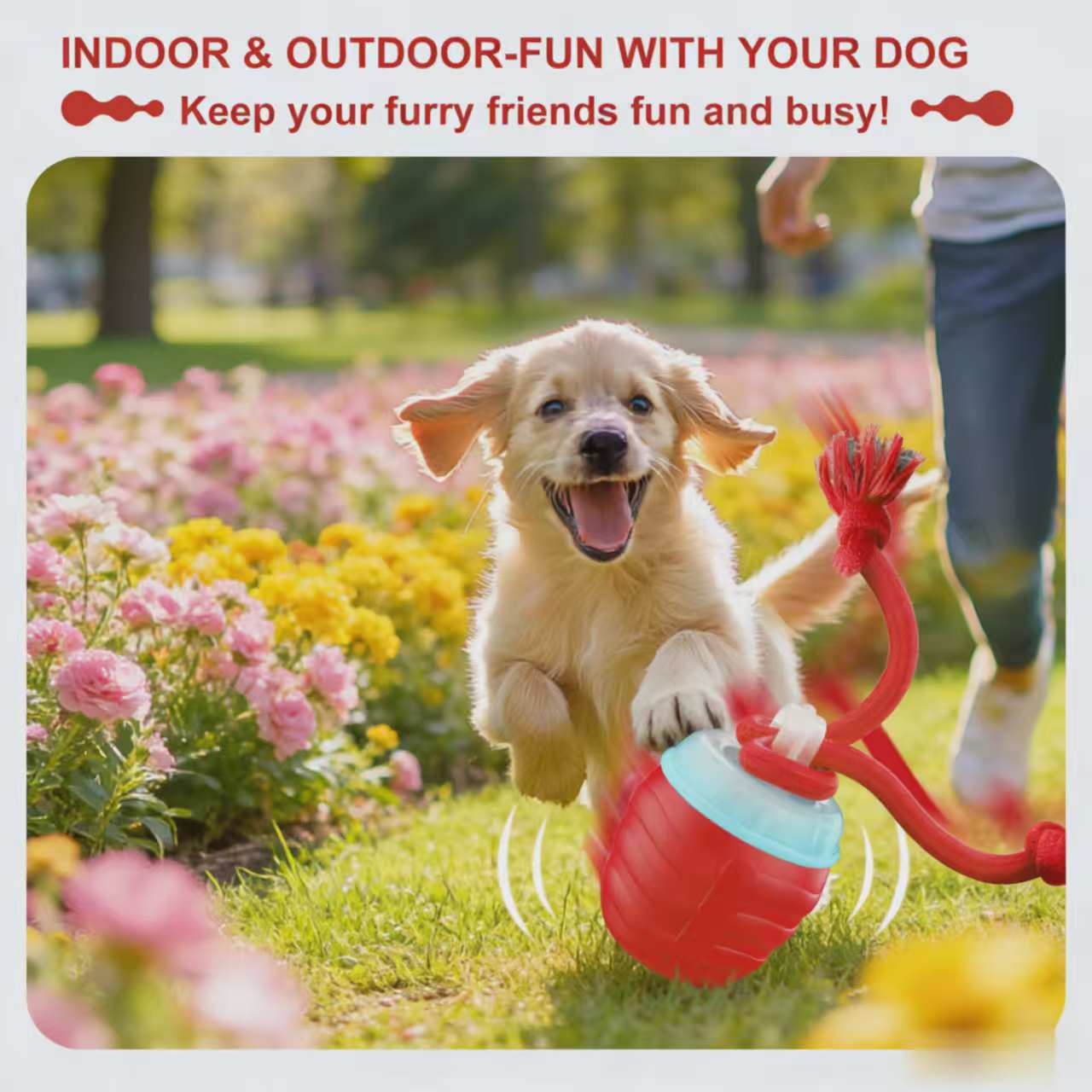 Electrically Attracted Bite-Resistant Pet Traction Ball