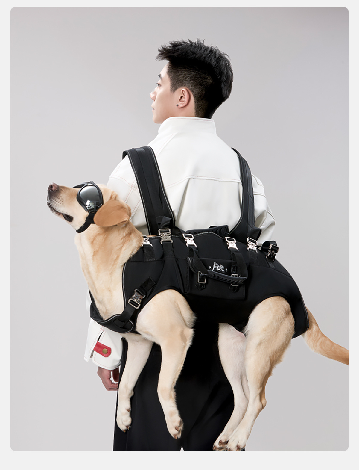 Pet Double-shoulder Crossbody Dog Harness detail photo 6