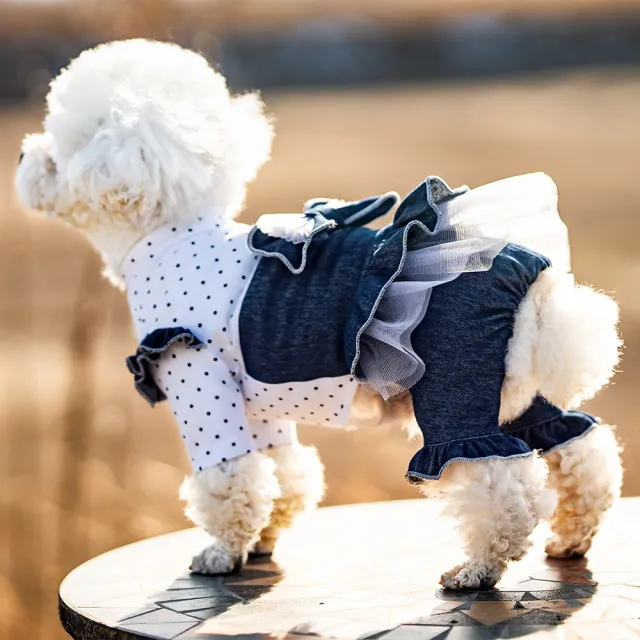 Pet Spring And Summer Thin New Denim Bow Princess Mesh Pettiskirt Dot Denim Culotte - Shop at LoveMi