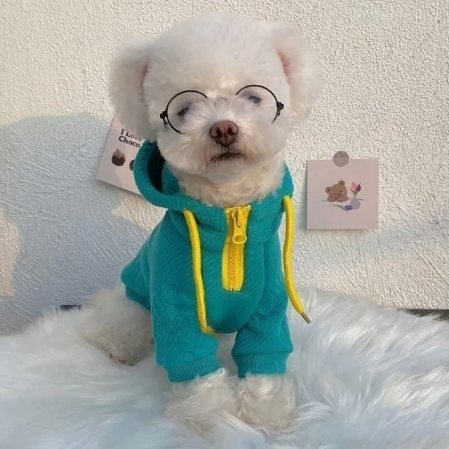 Internet Celebrity Pet Sweater Handsome Thin Xiaofa Sweater Lake Green - Shop at LoveMi