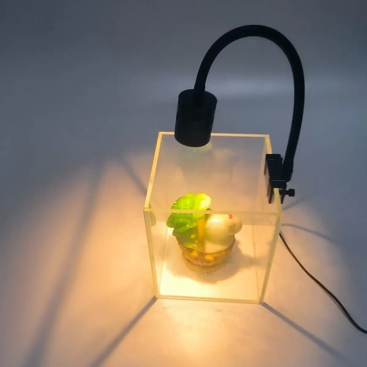 Cyclically Timed Dimmable Aquatic Plant Lighting Spotlight