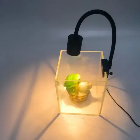 Cyclically Timed Dimmable Aquatic Plant Lighting Spotlight for Fish