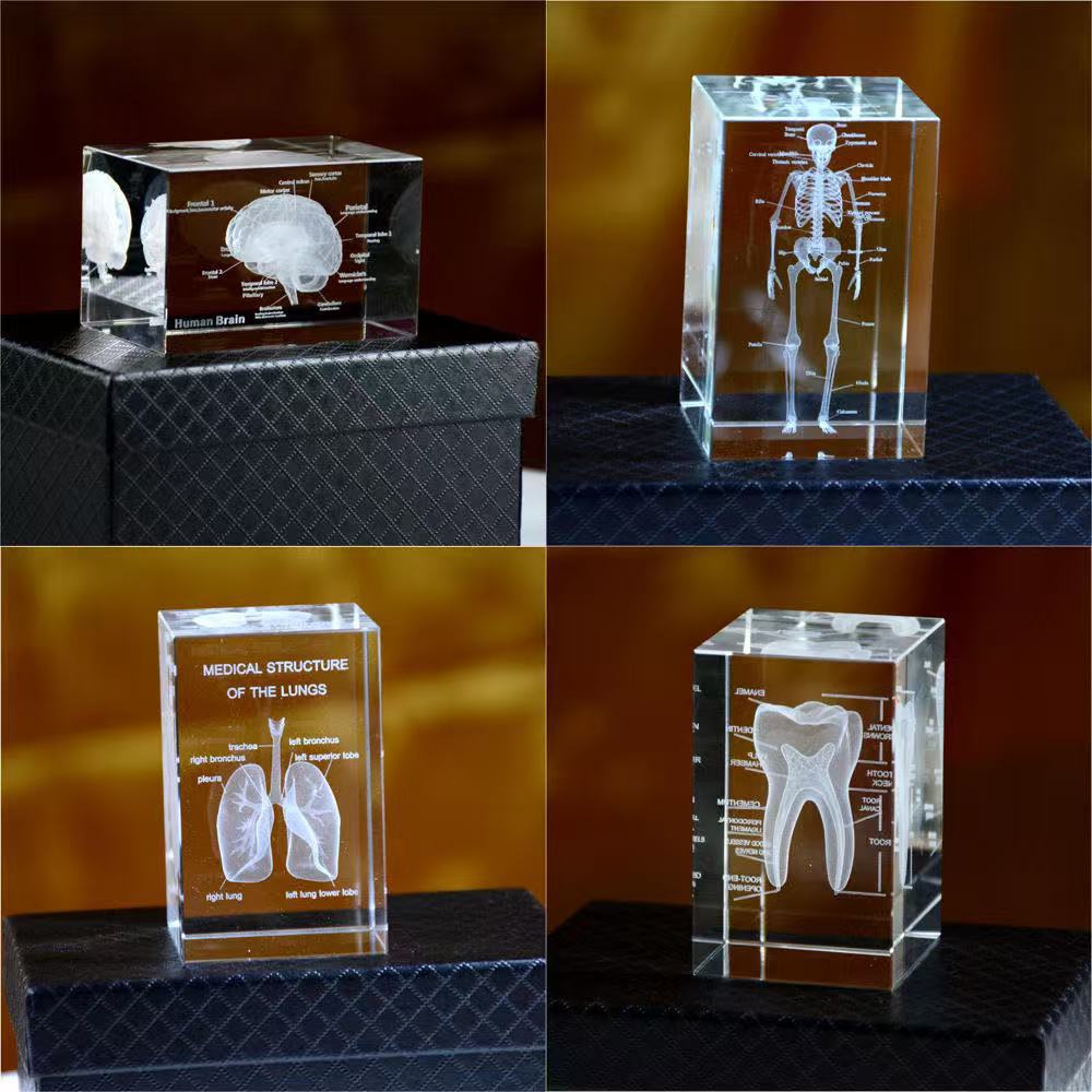 3D Crystal In-Engraved Human Heart Anatomy Model Decorative Ornament