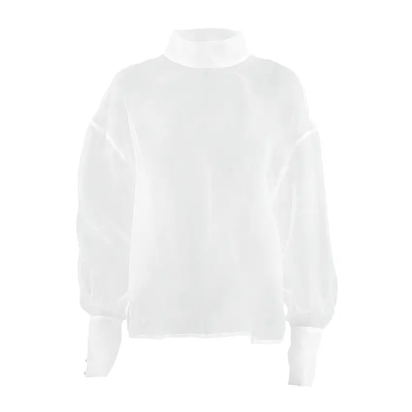 Women's Sheer Mesh Long-sleeved Shirt