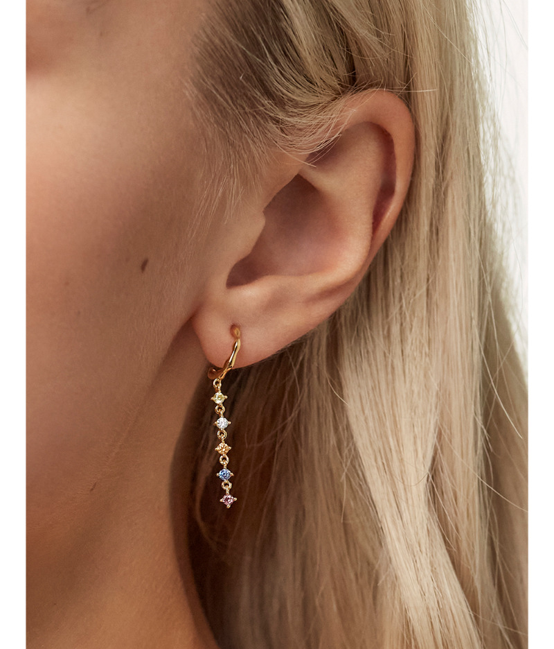 Niche European And American Sterling Silver Earrings