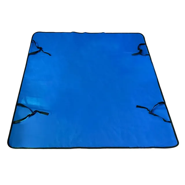 Car Pet Mat Rear Seat Water And Dirt Resistant Isolation Pad Blue Rear Mat - Shop at LoveMi