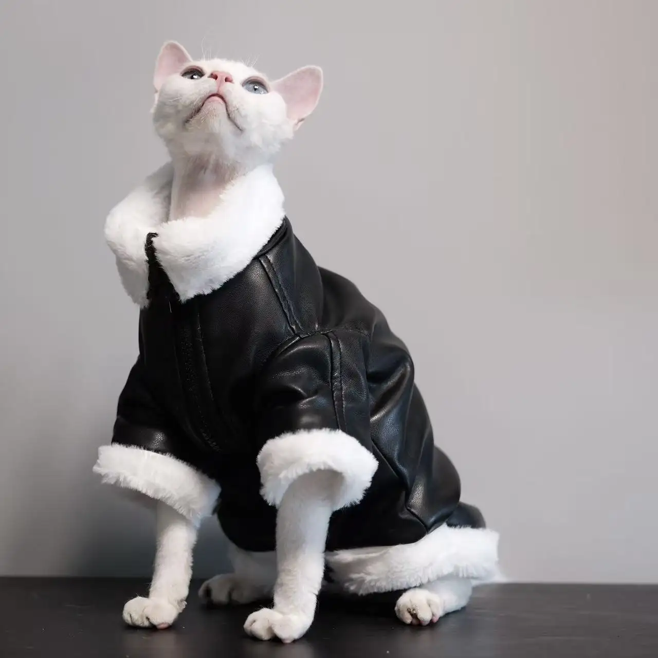 Thickened Coat Furless Cat Apparel Sphynx Outfit