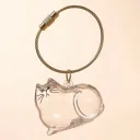 No 1 Transparent Cat