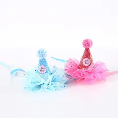 Cat Birthday Hat Bow Tie Flower Party Suit - New Blue Hat - View 1