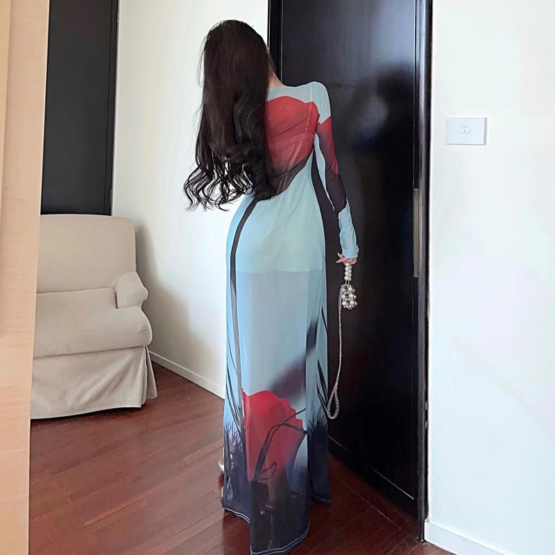 Women's Clothing Wholesale Southeast Asian Design Sense Printed Mesh See-through Split Long Dress - 2