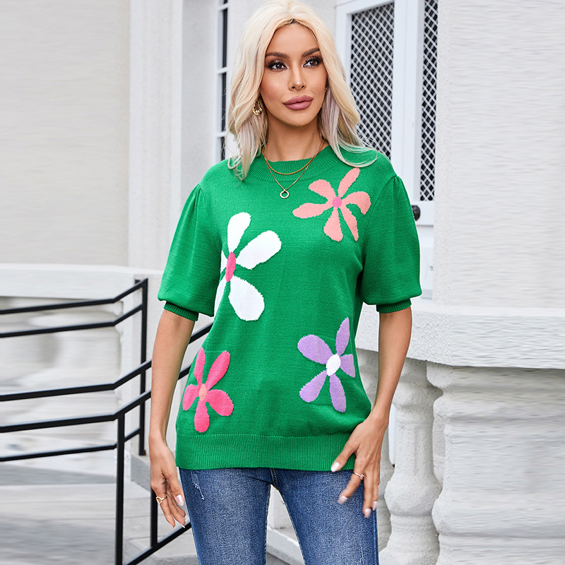 Shiying New Pullover Round Neck Short Sleeve Top For Women