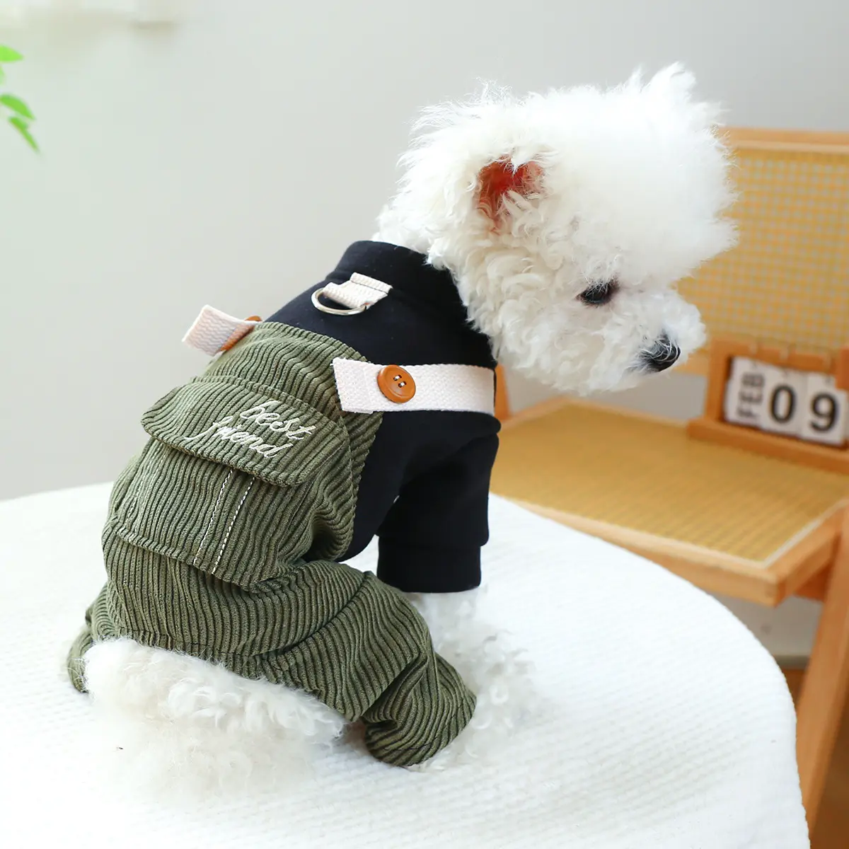 Pet Ring Dog Cat Clothes