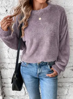 Autumn And Winter New Casual Double-sided Velvet Loose Fleece Sweatshirt - Purple - View 1