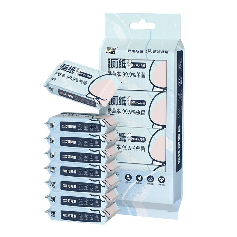 Portable Outdoor Mini Wet Toilet Paper