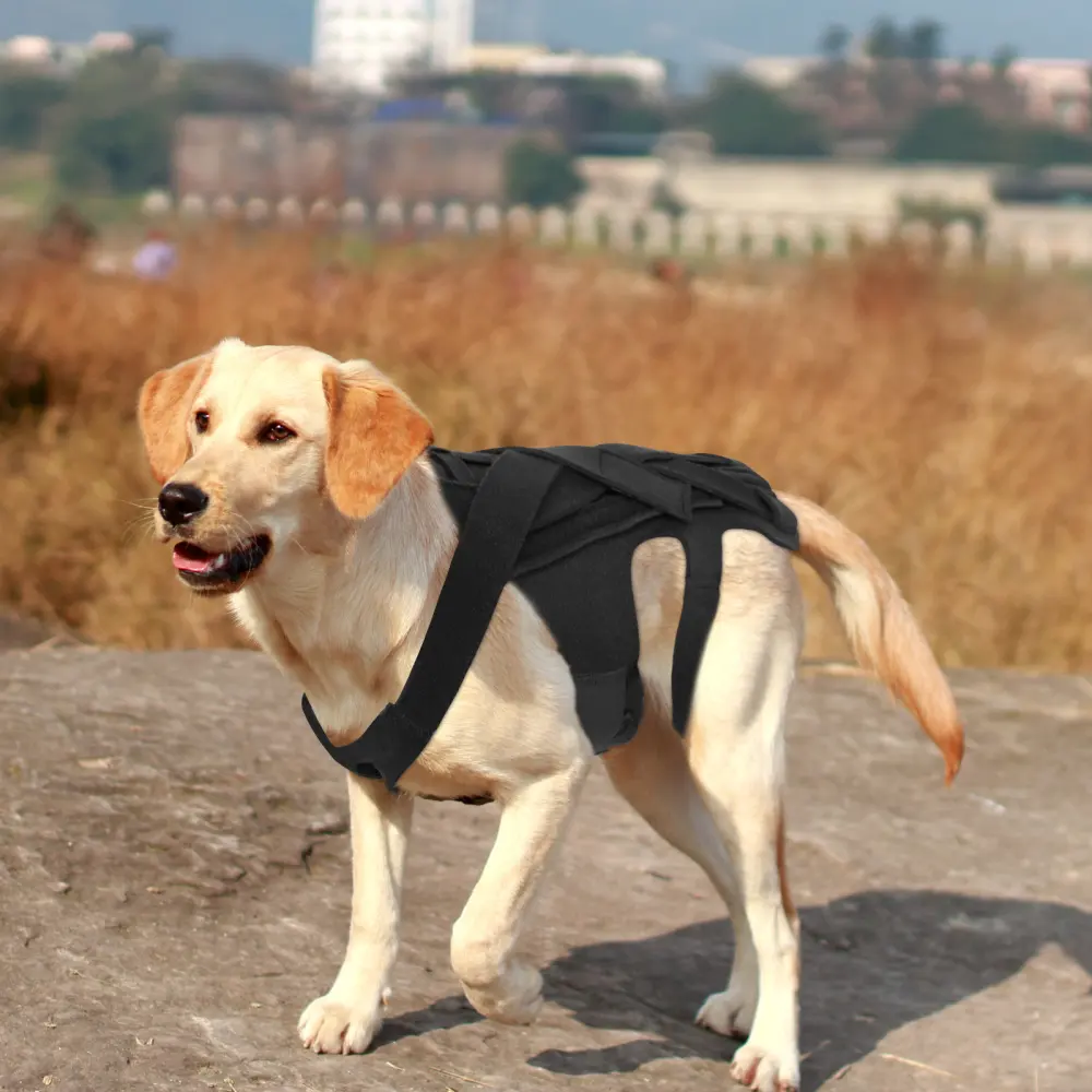 Pet Dog Back Support Injury-Relief Vest