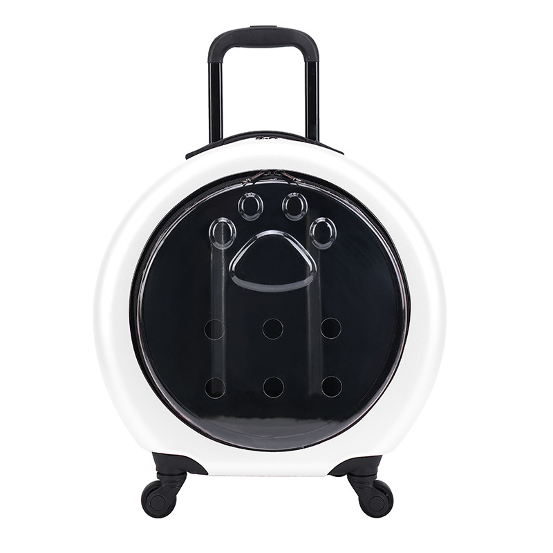 https://cf.cjdropshipping.com/quick/product/47db72ba-7482-40b3-9f3d-143219d4aad6.jpg