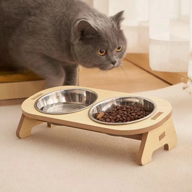 Into Cat Kittens Porcelain Bowl Food Ceramic