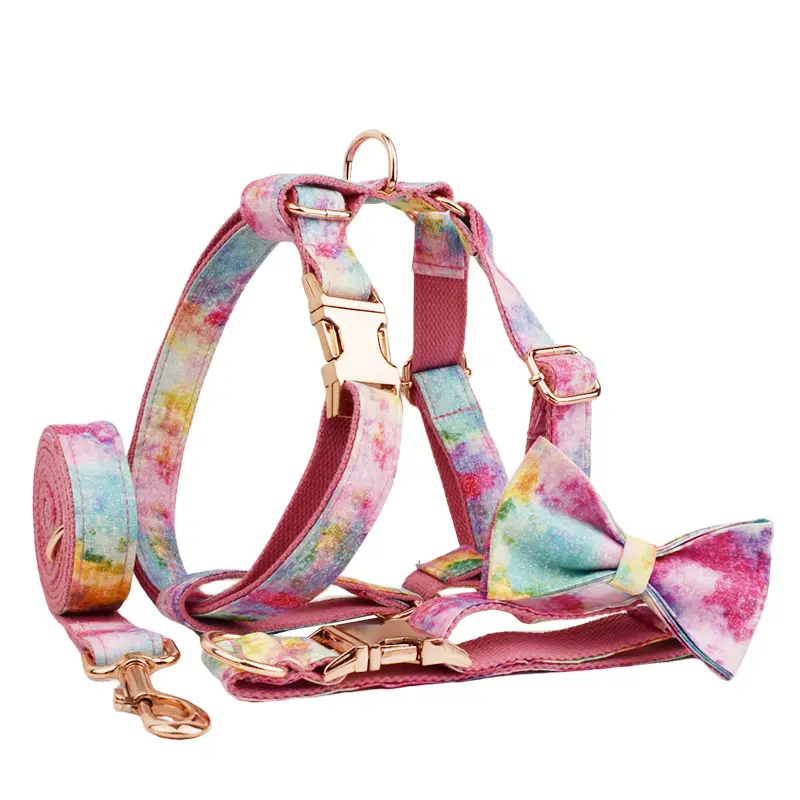 Bronzing Pet Collar Traction Rope On Foundation