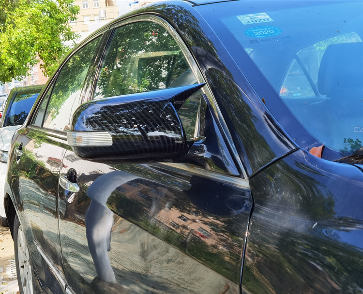 Applicable To Weichi 10 Carbon Fiber Rear View Rearview Mirror Horn Ear Shell Cover Modified Pieces
