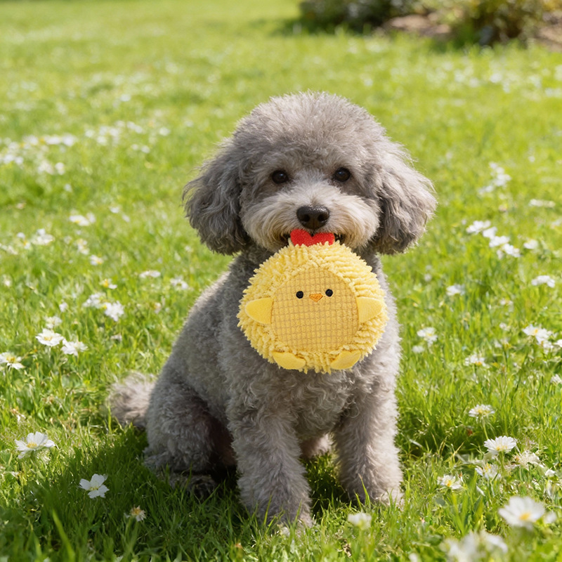 Dog Vocalizing Pet Chew Toy detail photo 17